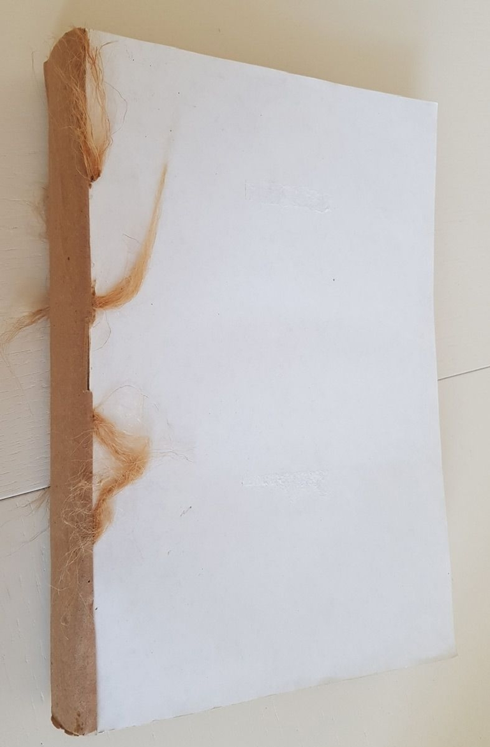 "Первый Всесоюзный съезд советских писателей 1934. Стенографический отчет"  1934 г.