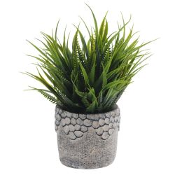 GAEM Цветочная композиция "Трава с папоротником", L12 W12 H17 см