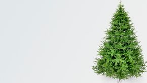 Искусственная ель Шотландская