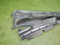 DSCN8793.jpg