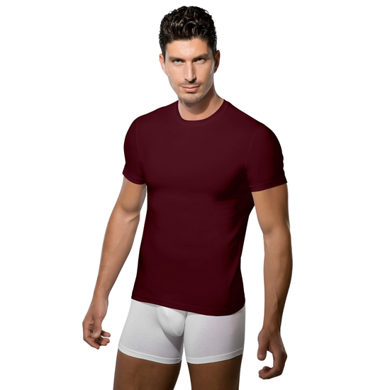 Мужская футболка бордовая Doreanse 2550 Vinous
