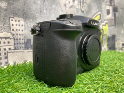 Panasonic Lumix GH5S 13.700 кадров