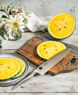 Нож кухонный Поварской-Шеф Модерн 20см Samura Reptile