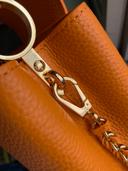 Louis Vuitton Capucines Mini