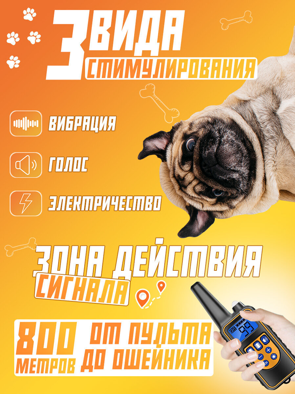 Электронный ошейник для дрессировки собак