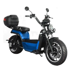 Электроскутер SKYBOARD BR100-5000 (Amur)