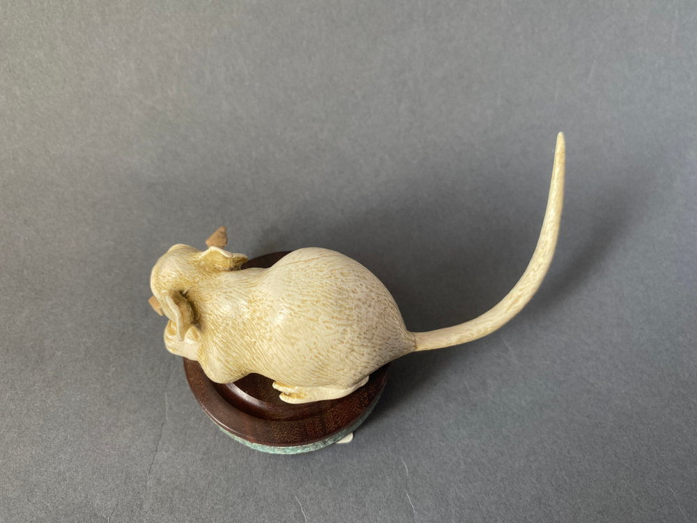 Последняя крыса