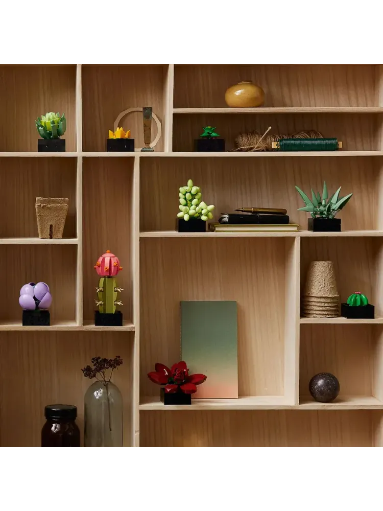 Конструктор Botanical Collection 10309 Суккуленты