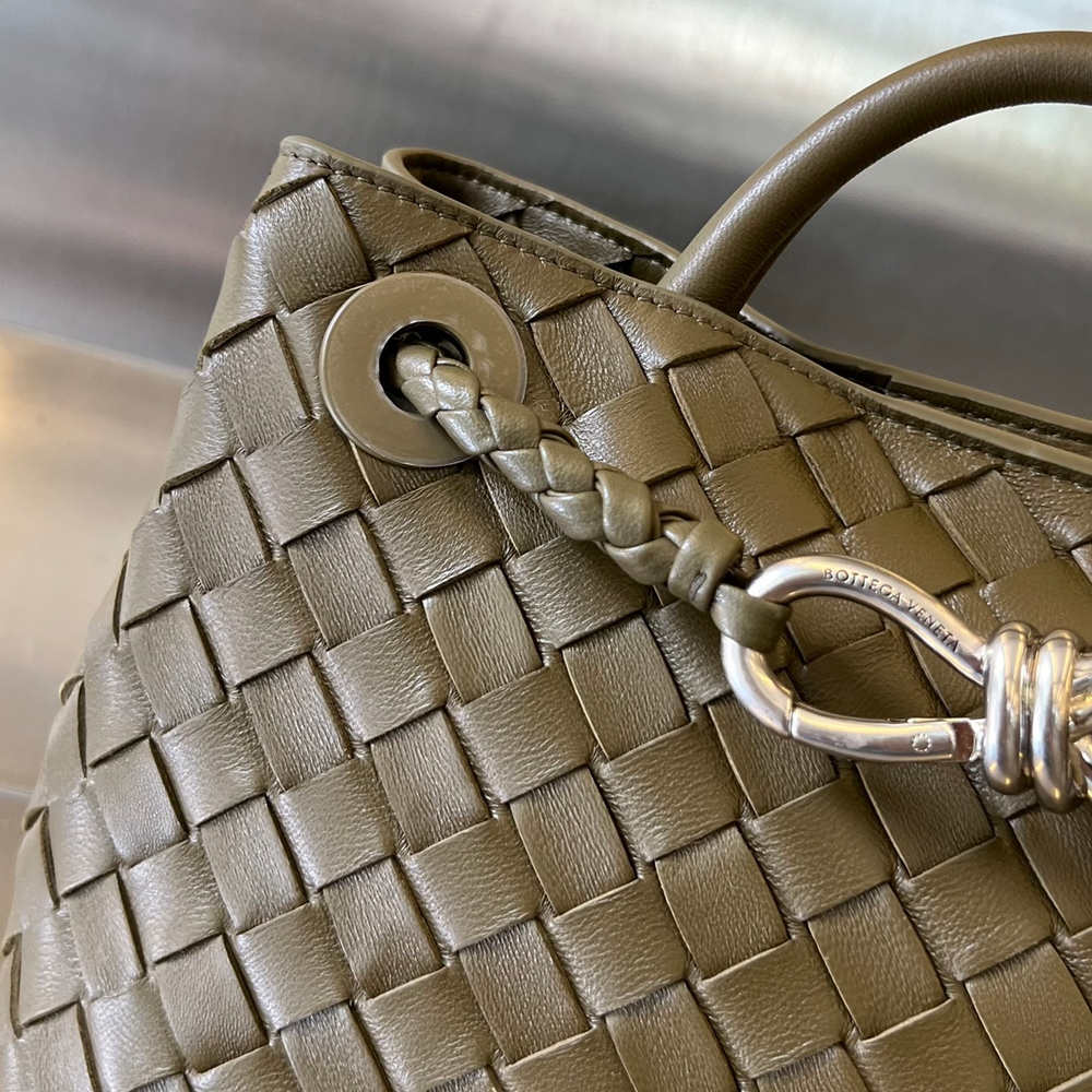 Bottega Veneta Small Andiamo 25 cm