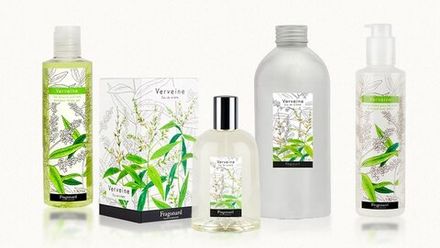 VERVEINE
