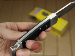 Нож BUCK Folding Hunter 110 - рукоять G10 B0110BKS4