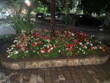 Hakimiyyətin 48 qanunu