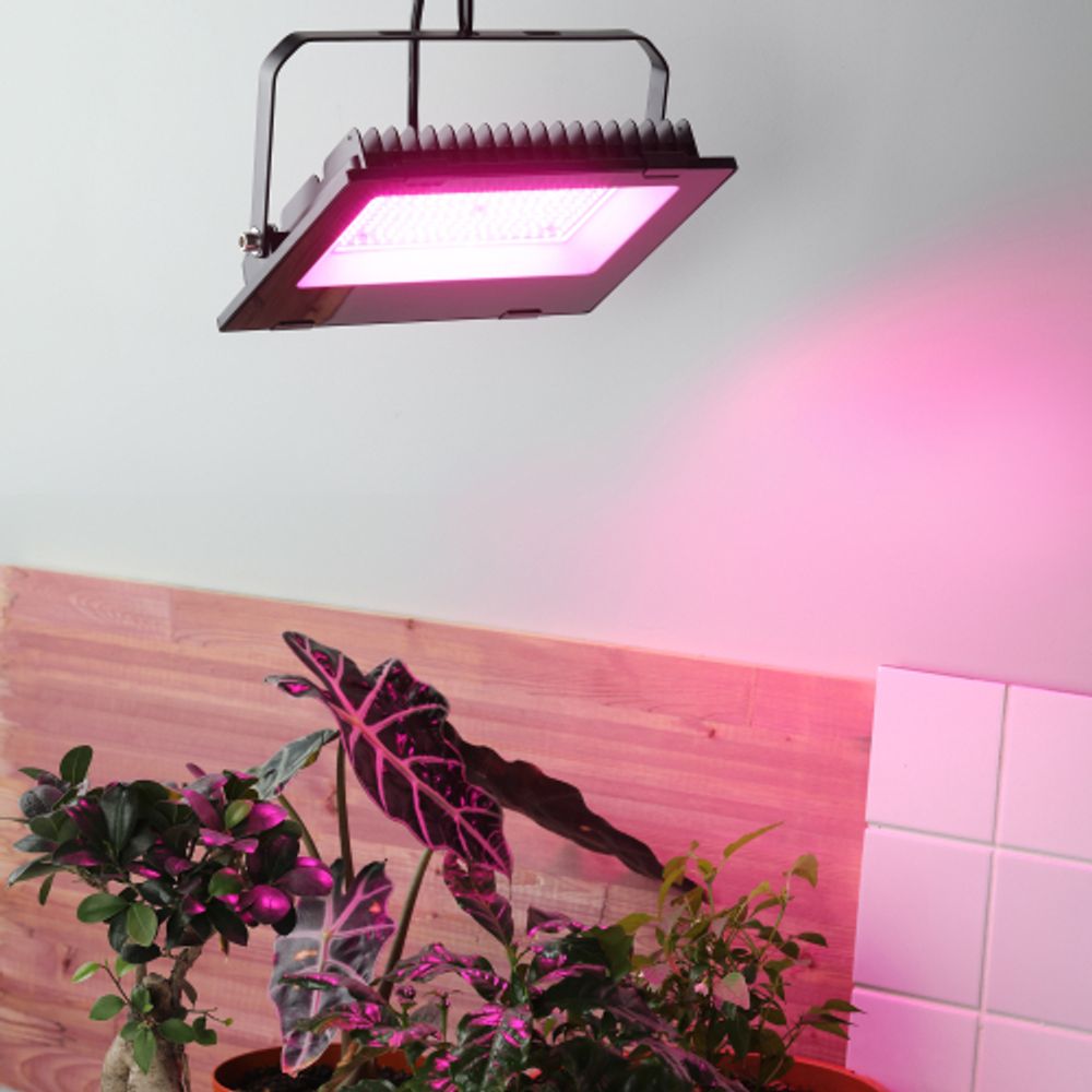 Фитопрожектор для растений светодиодный ЭРА FITO-100W-RB-LED для цветения и плодоношения красно-синего спектра 100 Вт