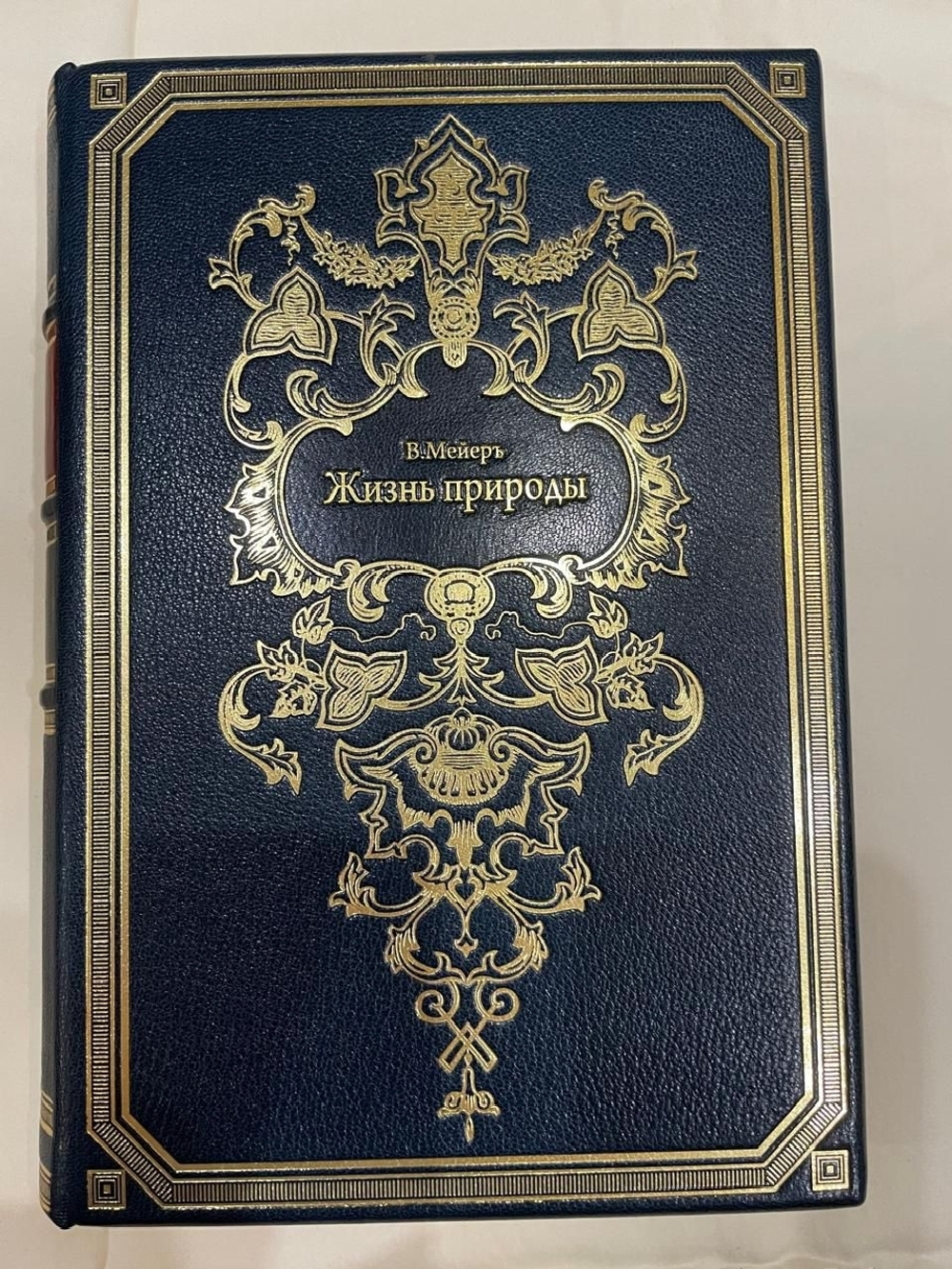 "Жизнь природы: Картина физических и химических явлений". В. Мейер. 1905г.