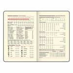 Ежедневник недатированный МАЛЫЙ 100х150 мм А6 BRAUBERG "Status", под кожу, 160 л., серо-голубой, 113369