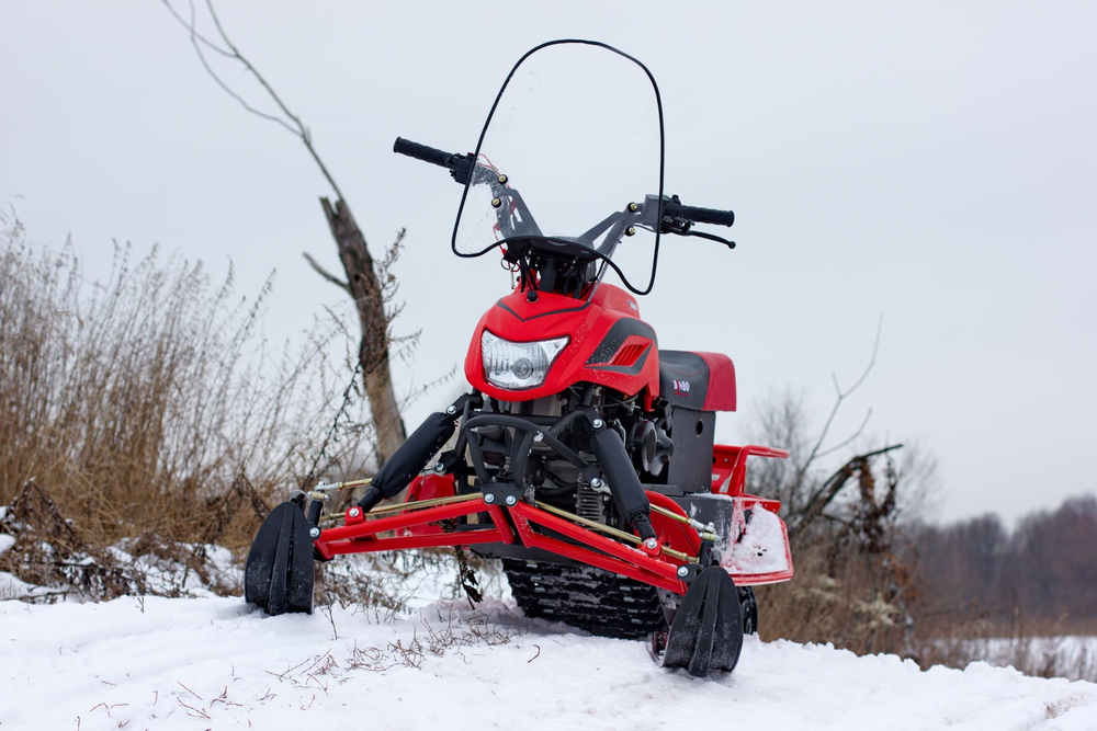 Снегоход IRBIS Dingo T150