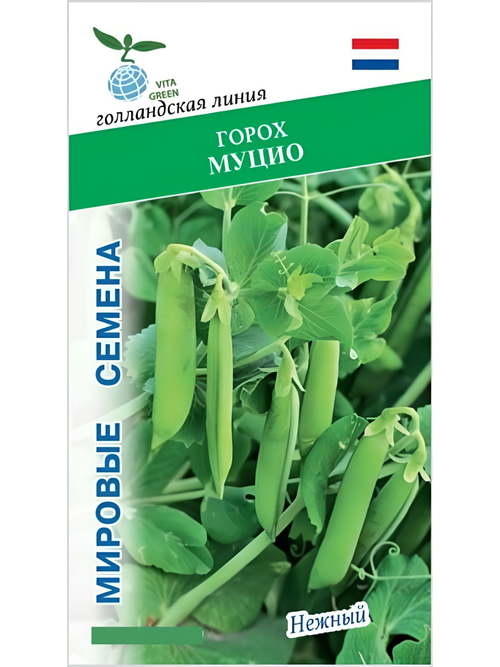 Семена горох Муцио, 25 семян (Vita Green / Вита Грин)