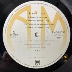 Винтажная виниловая пластинка LP Yesterday and Today (Y and T) Black Tiger (Japan 1982) (Obi)