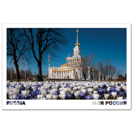 Крокусы на ВДНХ, Москва