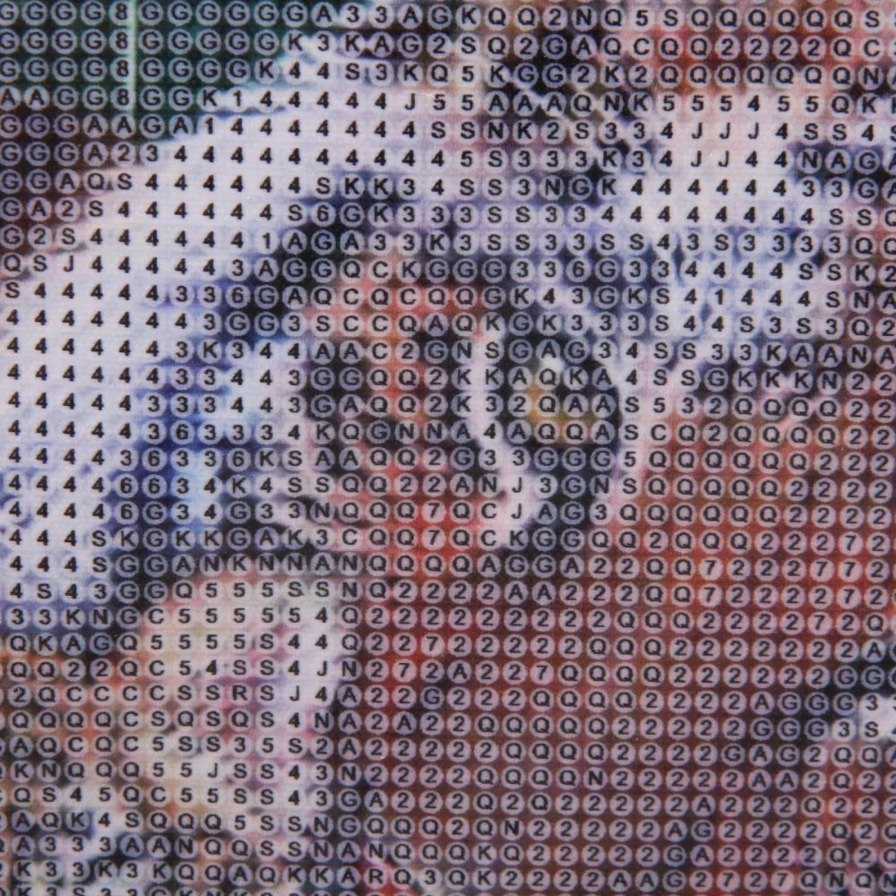 Алмазная мозаика на подрамнике с полным заполнением»МИР ЯРКИХ КРАСОК», тигры, 30*40см