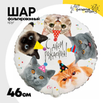 Шар Фольгированный Котики фотографичные (Ассорти)