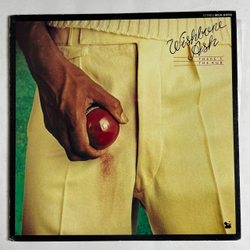 Винтажная виниловая пластинка LP Wishbone Ash There The Rub (Japan 1974) (No Obi)