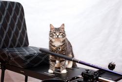 Рыболовный стул складной GENTLEMAN S (стул + эксклюзивный рюкзак для перевозки и хранения)