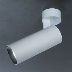 Citilux Тубус CL01B120N LED Светильник накладной поворотный Белый