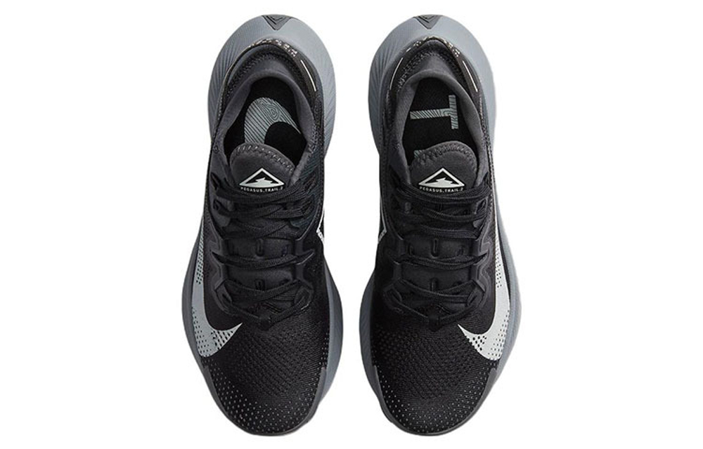 Кроссовки Nike Pegasus Trail 2 (Женская размерная сетка)