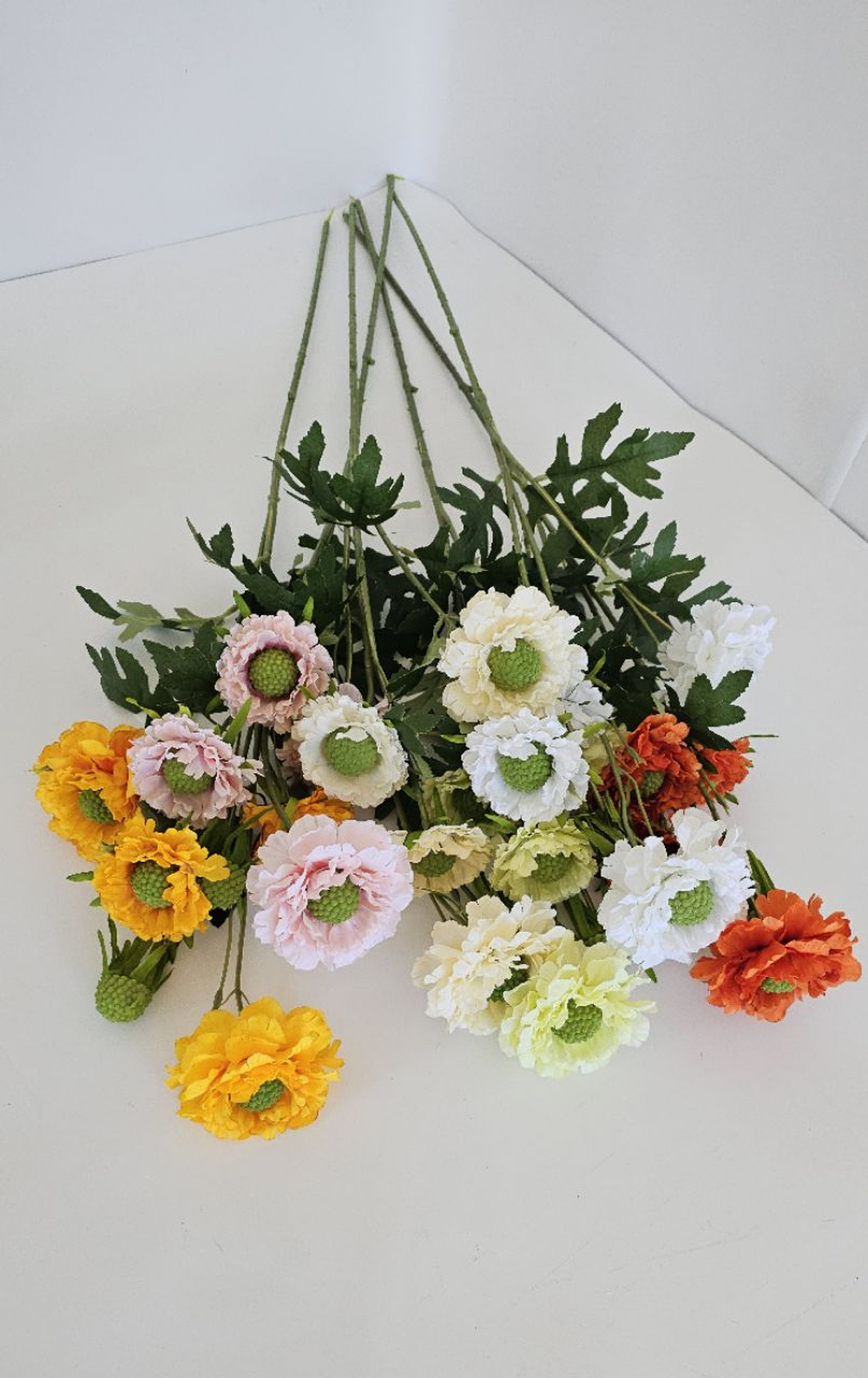 Скабиоза / Арт 2482