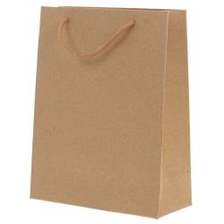 GAEM Пакет подарочный (бумага 210г/м2, блок 12шт), L19/23 W8/10 H24/18 см, 2в.