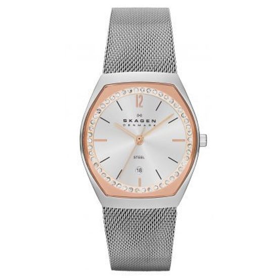 Наручные часы Skagen SKW2051