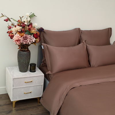 Моно (шоколад) Евро Макси 220х240