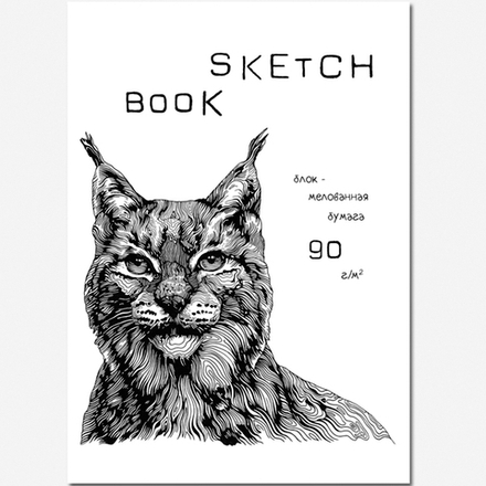 Блокнот-скетчбук SKETCHBOOK SILK А5 на скрепке