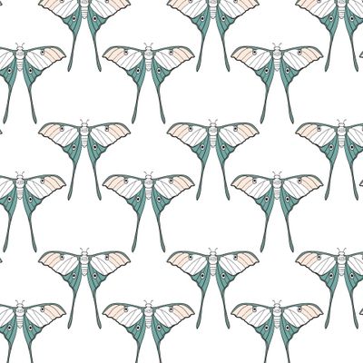 Тропические бабочки