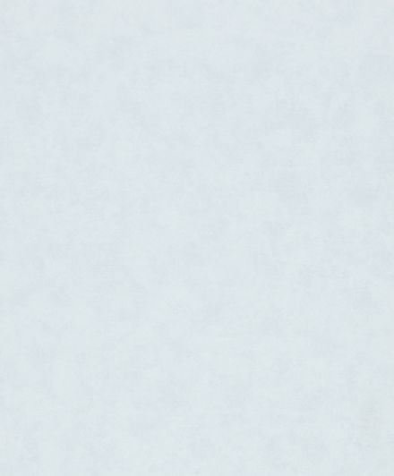 Shades Iconic / Flora