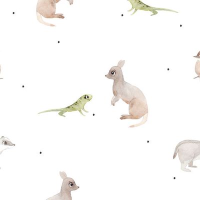Кенгуру на белом