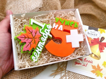 «Учись на отлично!» подарочный набор