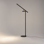 Напольный светильник (торшер) Maytoni MOD363FL-L14B3K