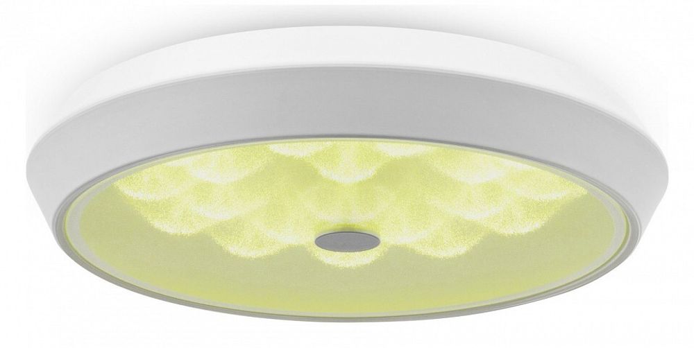 Накладной светильник Freya Cells FR10012CL-L24W