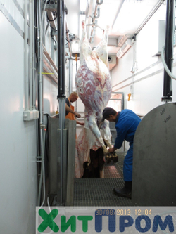 Линия убоя КРС 20 голов/смена. Ленинградская область