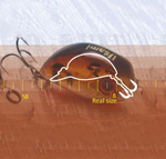 Воблер для рыбалки Usami Kabu