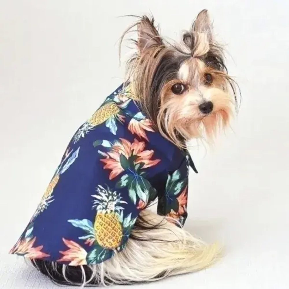 Рубашка для собак и кошек малых и средних пород «СТИЛЬНЫЙ БРО», цвет синий, принт ананасы с цветами, размер XL