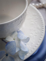 Чашка 300 мл, 13x10,2 см h 6,6 см, фарфор, Primavera