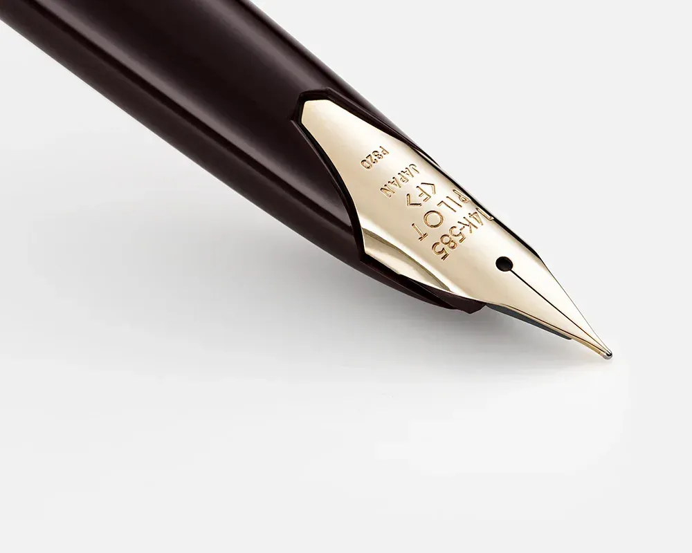 Перьевая ручка PILOT Elite 95S Black с пером M (FES-1MM-B-M) 3