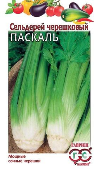 Сельдерей черешковый Паскаль 0,1 гр (Гавриш)