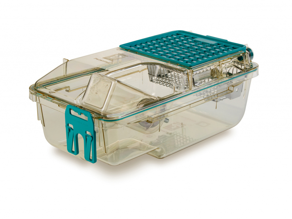 Клетка Emerald