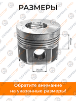 A147-1-SF138-2 (1)