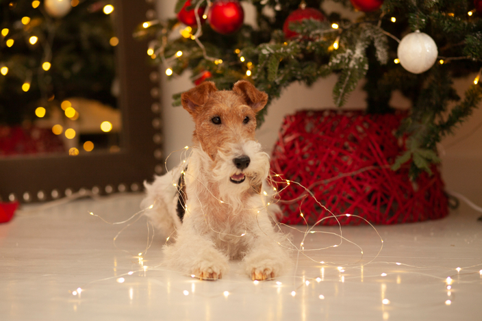 Подарок за покупку