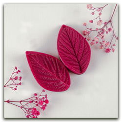 Лист малины средний